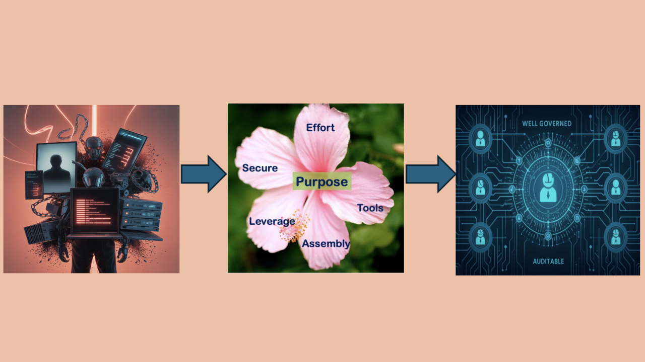 Chaos to Order Using PETALS™ Framework